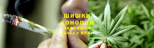 шишки Аркадак