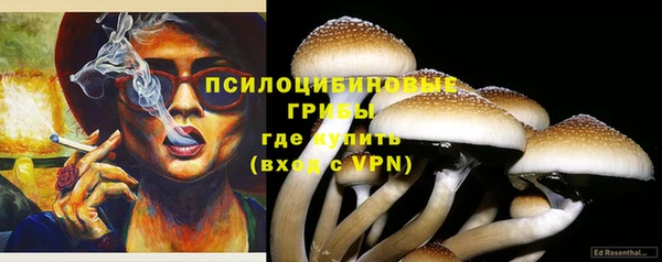 герыч Алзамай