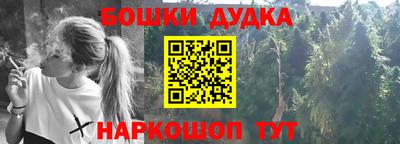 Альфа ПВП Кингисепп