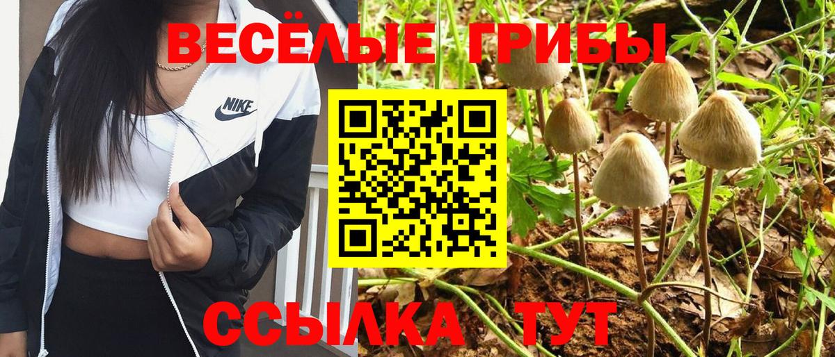 Тайшет  Галлюциногенные грибы ЛСД  Псилоцибиновые грибы мицелий  Вход с VPN 